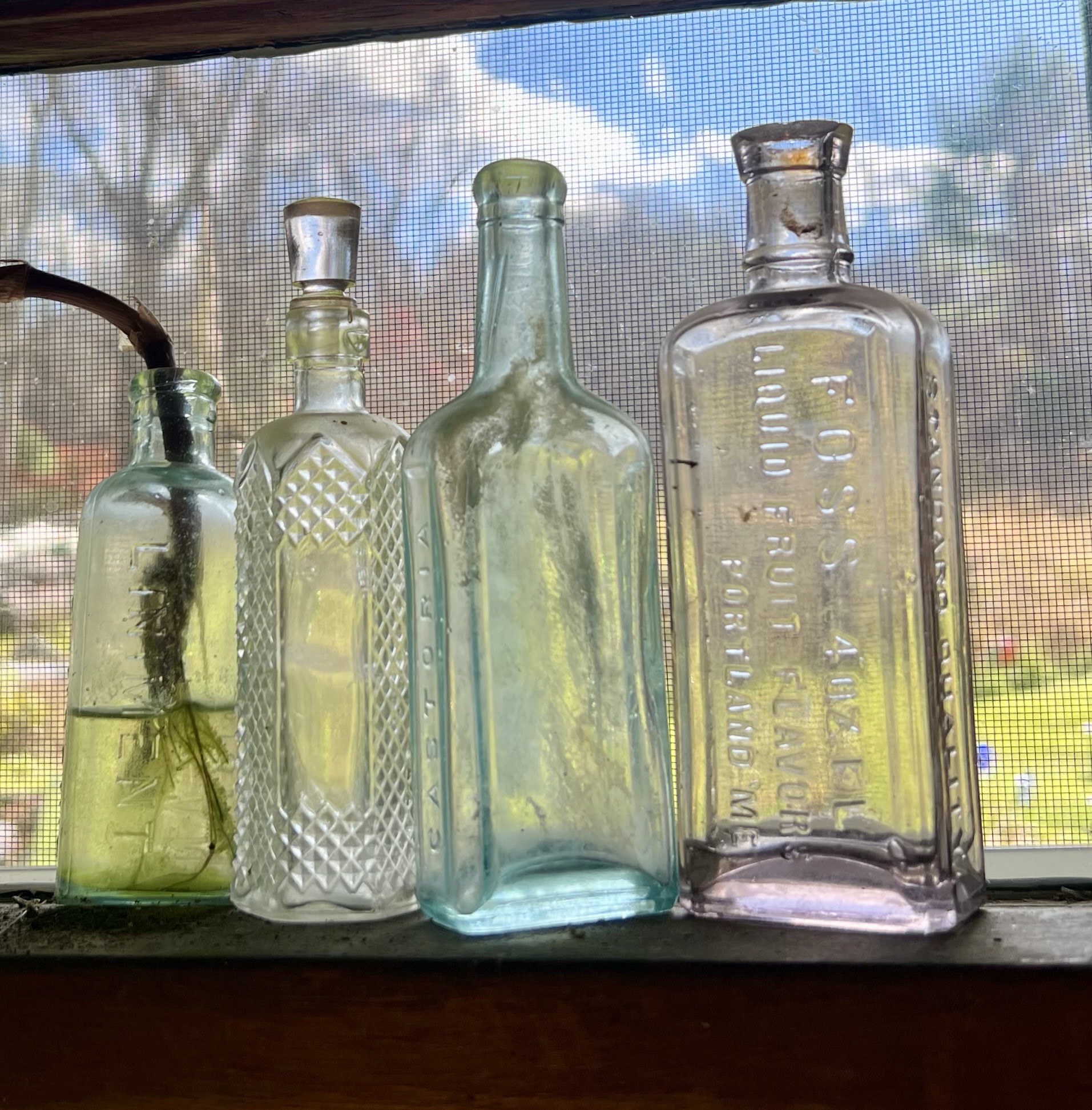 photo of antique bottles