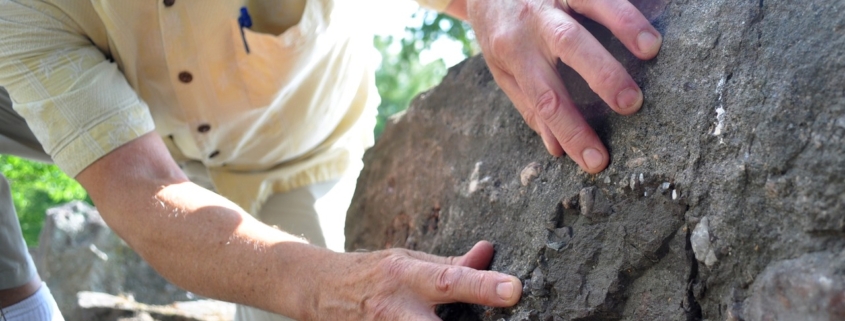photo of armored mud ball