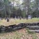 Grave Markers