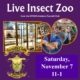 Photo shows pictures of insect collections, a person holding an insect and the logo of the UMass Fernald Club. Text reads "Live Insect Zoo Saturday, November 7, 11-1"