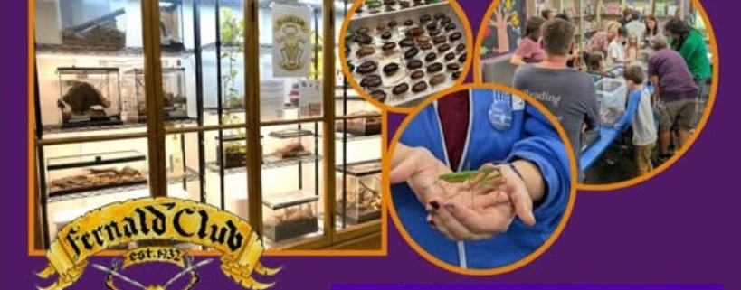 Photo shows pictures of insect collections, a person holding an insect and the logo of the UMass Fernald Club. Text reads "Live Insect Zoo Saturday, November 7, 11-1"